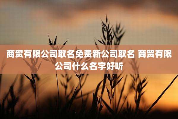 商贸有限公司取名免费新公司取名 商贸有限公司什么名字好听