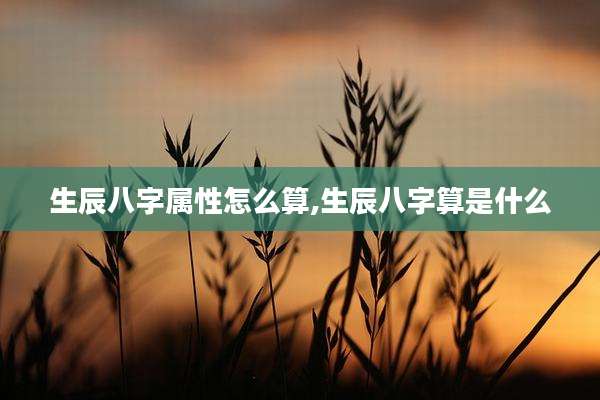 生辰八字属性怎么算,生辰八字算是什么
