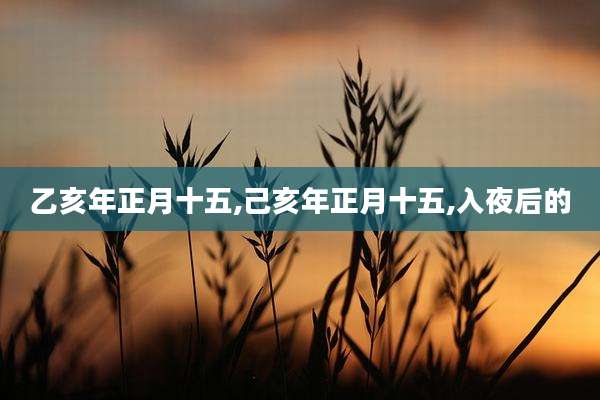 乙亥年正月十五,己亥年正月十五,入夜后的