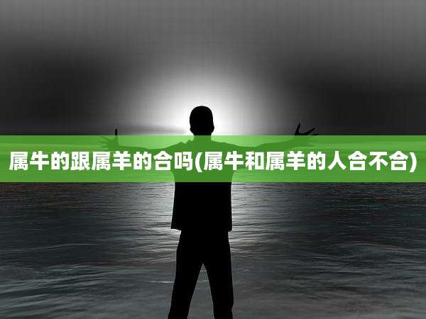 属牛的跟属羊的合吗(属牛和属羊的人合不合)