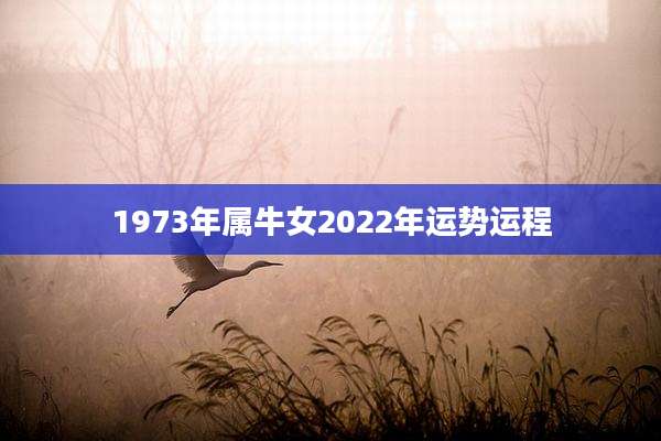 1973年属牛女2022年运势运程