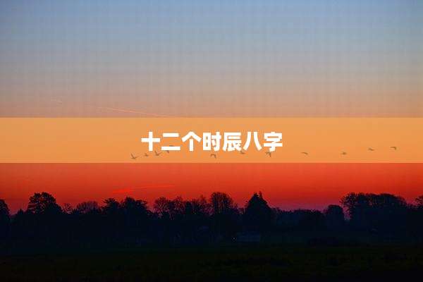 十二个时辰八字