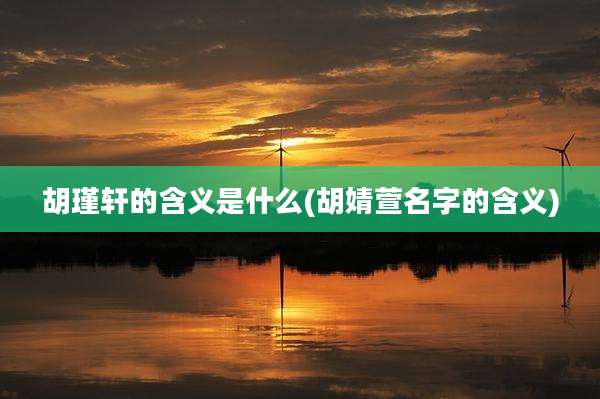 胡瑾轩的含义是什么(胡婧萱名字的含义)