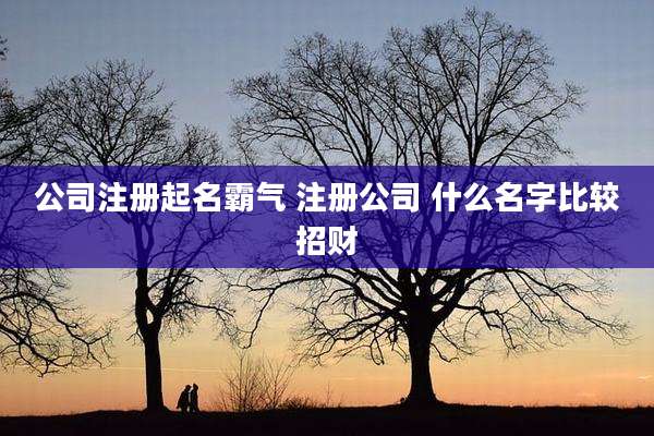 公司注册起名霸气 注册公司 什么名字比较招财
