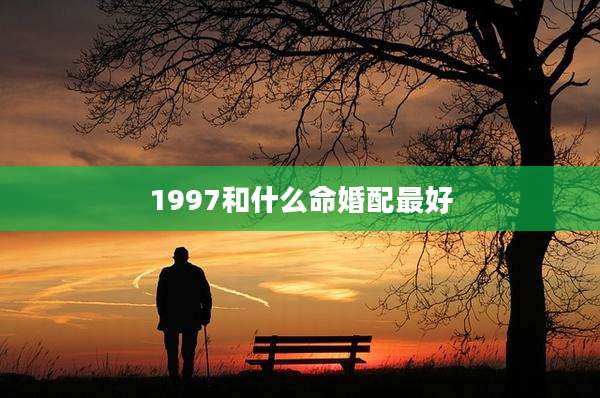 1997和什么命婚配最好