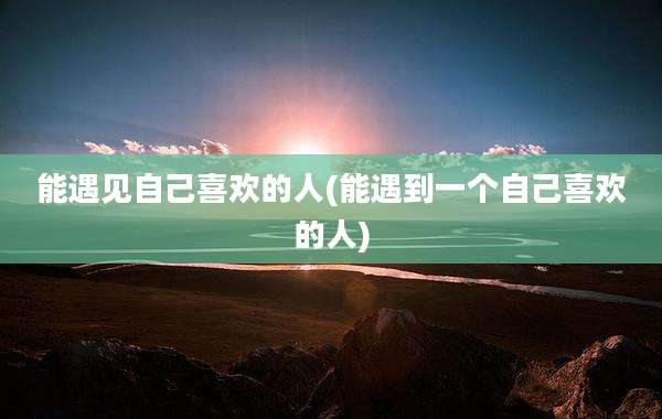 能遇见自己喜欢的人(能遇到一个自己喜欢的人)