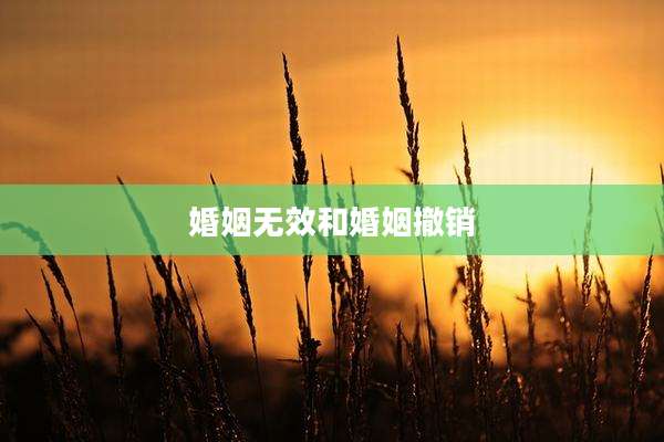 婚姻无效和婚姻撤销