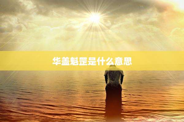 华盖魁罡是什么意思