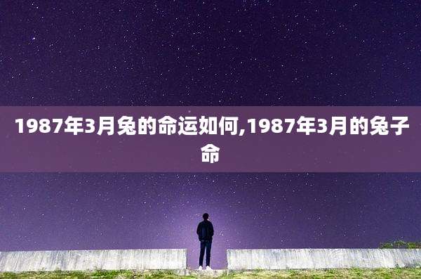1987年3月兔的命运如何,1987年3月的兔子命