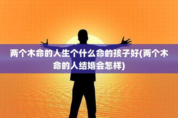 两个木命的人生个什么命的孩子好(两个木命的人结婚会怎样)