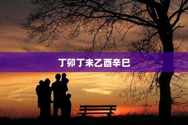 丁卯丁未乙酉辛巳
