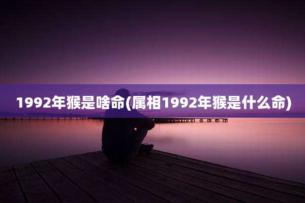1992年猴是啥命(属相1992年猴是什么命)