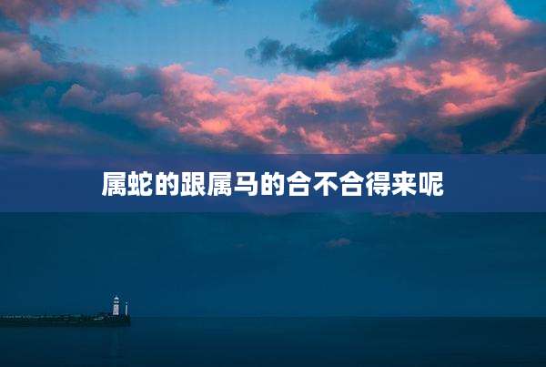 属蛇的跟属马的合不合得来呢