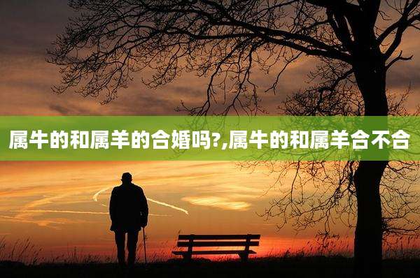 属牛的和属羊的合婚吗?,属牛的和属羊合不合