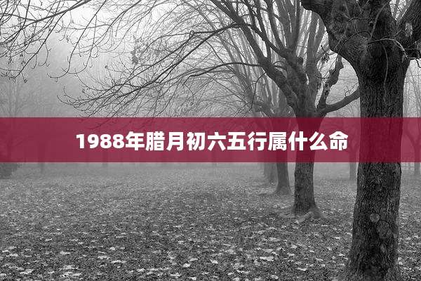 1988年腊月初六五行属什么命