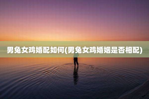 男兔女鸡婚配如何(男兔女鸡婚姻是否相配)