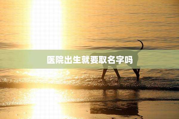 医院出生就要取名字吗