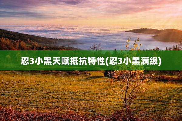 忍3小黑天赋抵抗特性(忍3小黑满级)