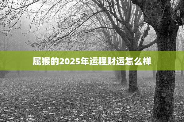 属猴的2025年运程财运怎么样