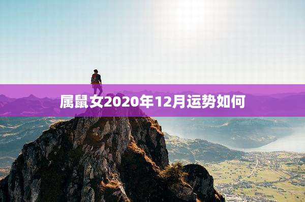 属鼠女2020年12月运势如何