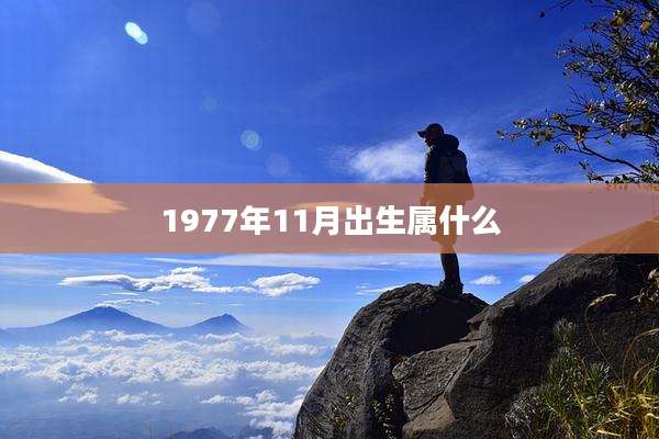 1977年11月出生属什么