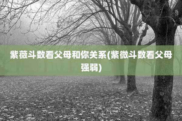 紫薇斗数看父母和你关系(紫微斗数看父母强弱)