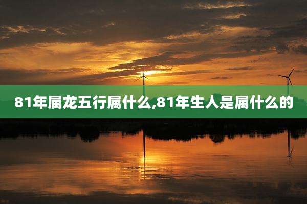 81年属龙五行属什么,81年生人是属什么的