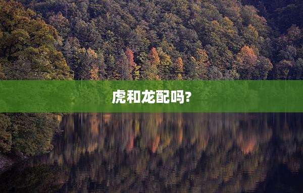 虎和龙配吗?