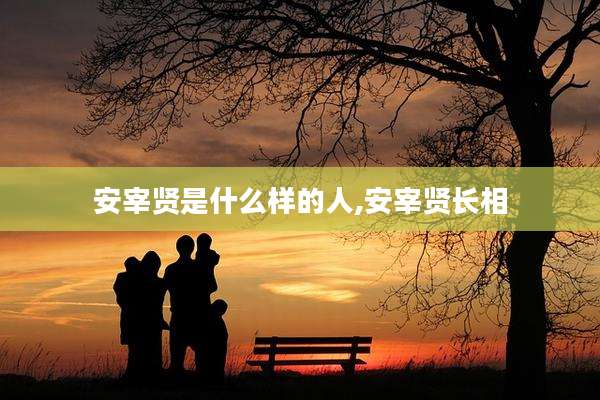 安宰贤是什么样的人,安宰贤长相