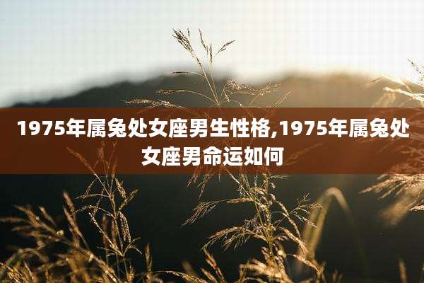 1975年属兔处女座男生性格,1975年属兔处女座男命运如何