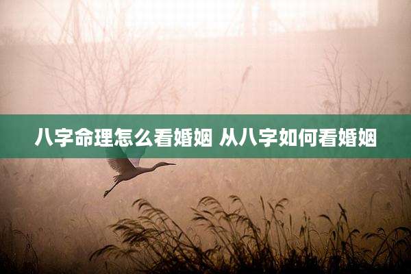 八字命理怎么看婚姻 从八字如何看婚姻