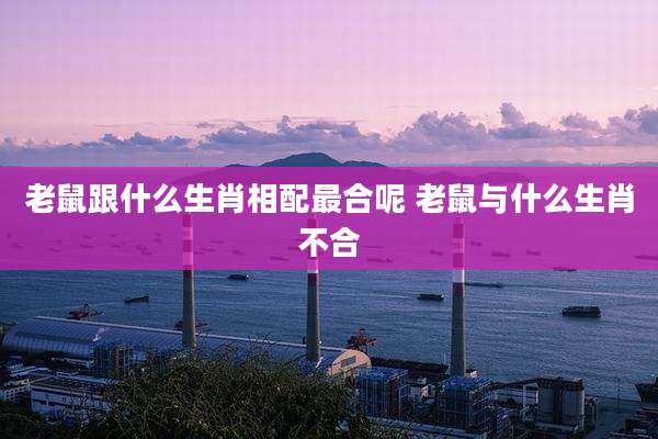 老鼠跟什么生肖相配最合呢 老鼠与什么生肖不合