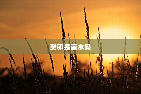 癸卯是葵水吗