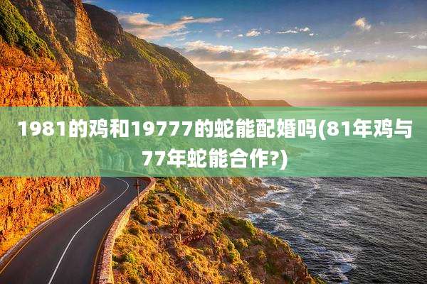 1981的鸡和19777的蛇能配婚吗(81年鸡与77年蛇能合作?)