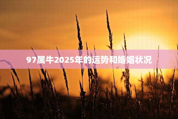 97属牛2025年的运势和婚姻状况