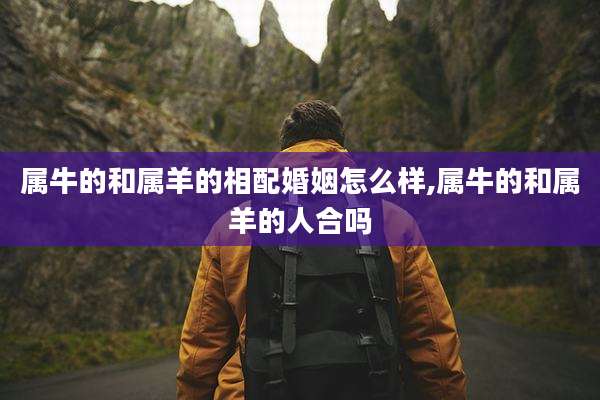 属牛的和属羊的相配婚姻怎么样,属牛的和属羊的人合吗