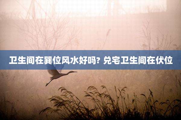 卫生间在巽位风水好吗? 兑宅卫生间在伏位
