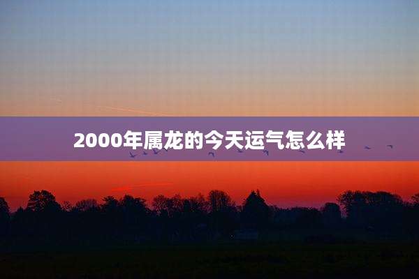 2000年属龙的今天运气怎么样