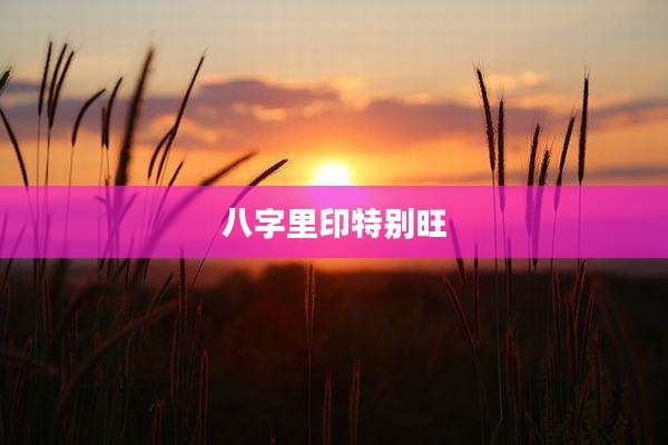 八字里印特别旺