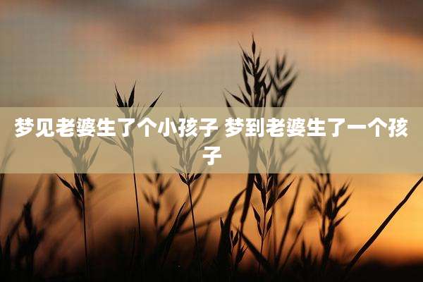 梦见老婆生了个小孩子 梦到老婆生了一个孩子