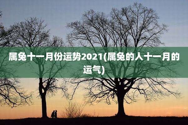 属兔十一月份运势2021(属兔的人十一月的运气)