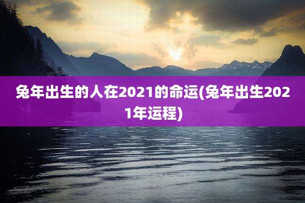 兔年出生的人在2021的命运(兔年出生2021年运程)