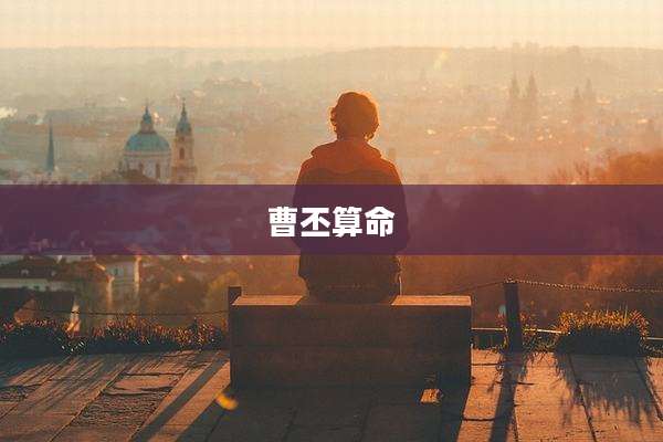 曹丕算命