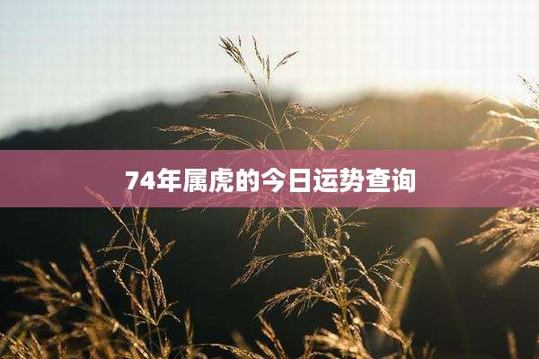 74年属虎的今日运势查询