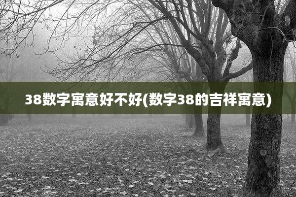 38数字寓意好不好(数字38的吉祥寓意)