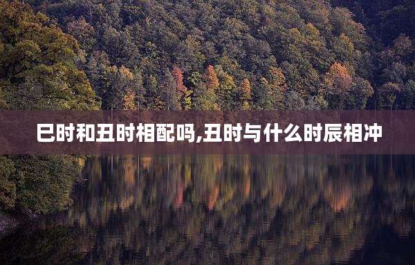 巳时和丑时相配吗,丑时与什么时辰相冲