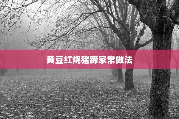 黄豆红烧猪蹄家常做法
