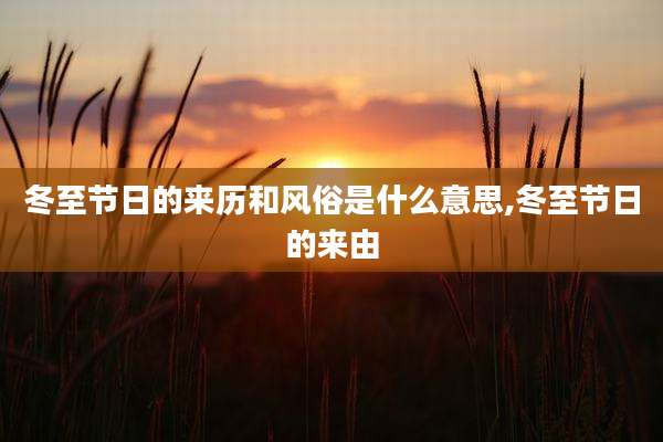 冬至节日的来历和风俗是什么意思,冬至节日的来由