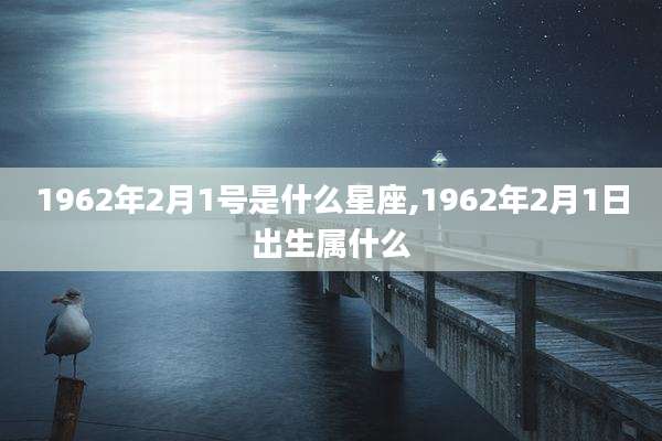 1962年2月1号是什么星座,1962年2月1日出生属什么