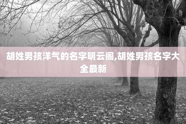 胡姓男孩洋气的名字明云阁,胡姓男孩名字大全最新